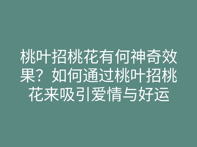 桃叶招桃花有何神奇效果?如何通过桃叶招桃花来吸引爱情与好运