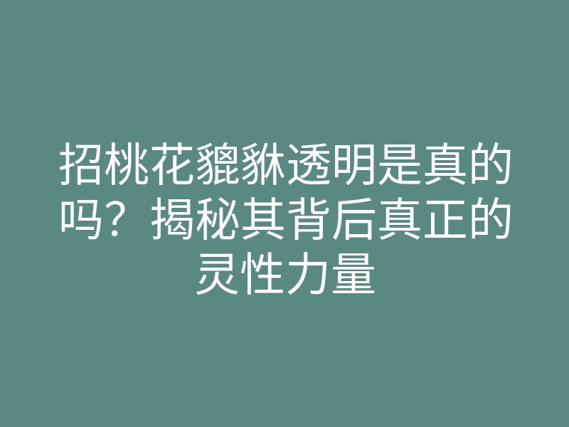 招桃花貔貅透明是真的吗?揭秘其背后真正的灵性力量