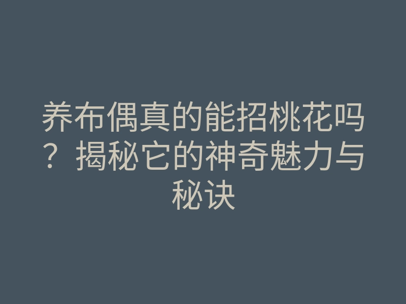 养布偶真的能招桃花吗?揭秘它的神奇魅力与秘诀