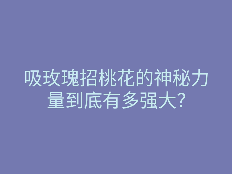 吸玫瑰招桃花的神秘力量到底有多强大?