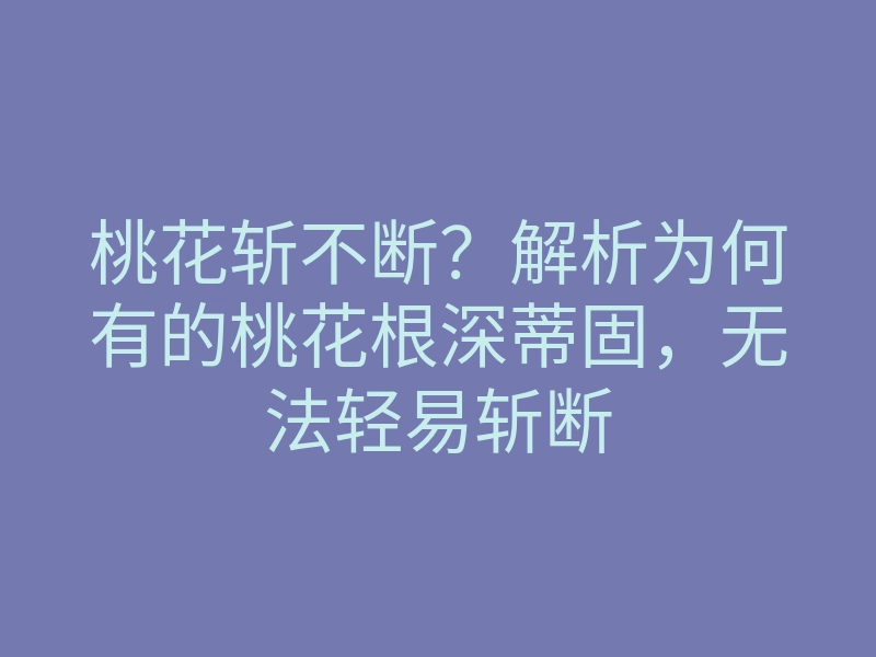 桃花斩不断?解析为何有的桃花根深蒂固,无法轻易斩断