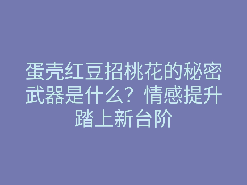 蛋壳红豆招桃花的秘密武器是什么?情感提升踏上新台阶
