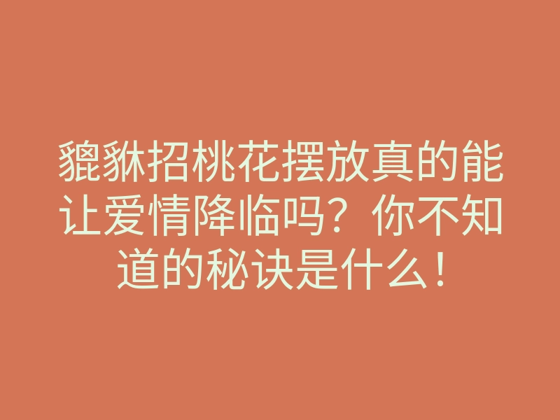 貔貅招桃花摆放真的能让爱情降临吗?你不知道的秘诀是什么!