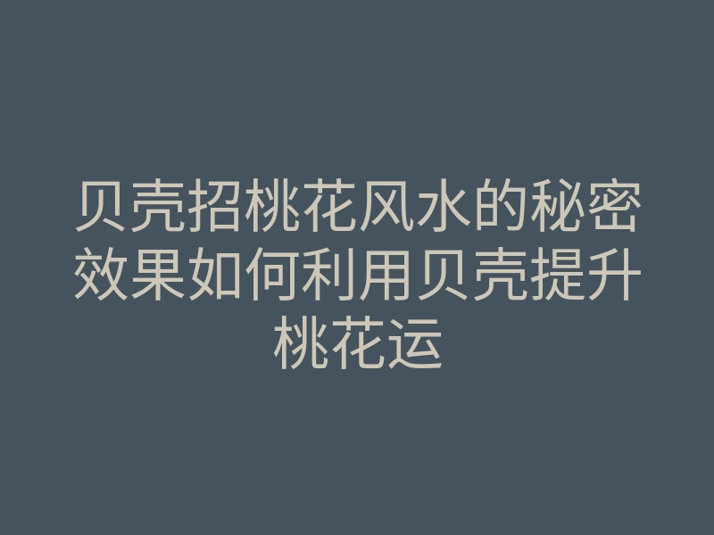 贝壳招桃花风水的秘密效果如何利用贝壳提升桃花运