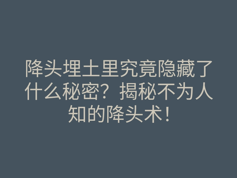降头埋土里究竟隐藏了什么秘密?揭秘不为人知的降头术!