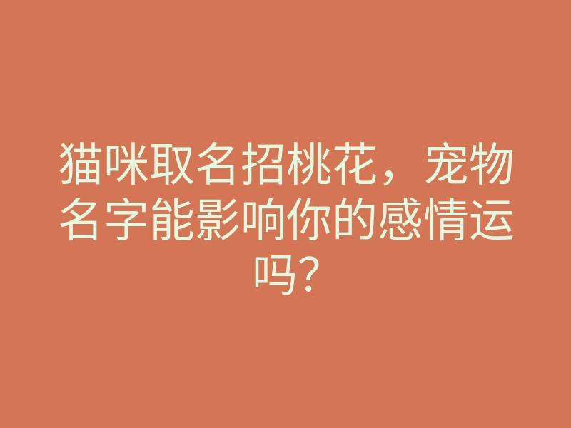 猫咪取名招桃花,宠物名字能影响你的感情运吗?