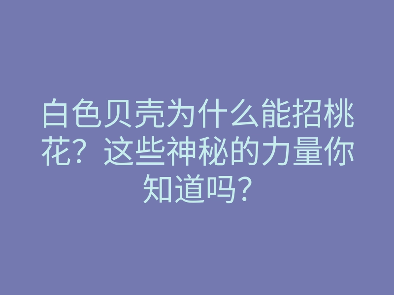 白色贝壳为什么能招桃花?这些神秘的力量你知道吗?