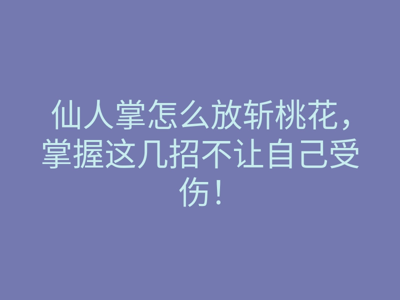 仙人掌怎么放斩桃花,掌握这几招不让自己受伤!