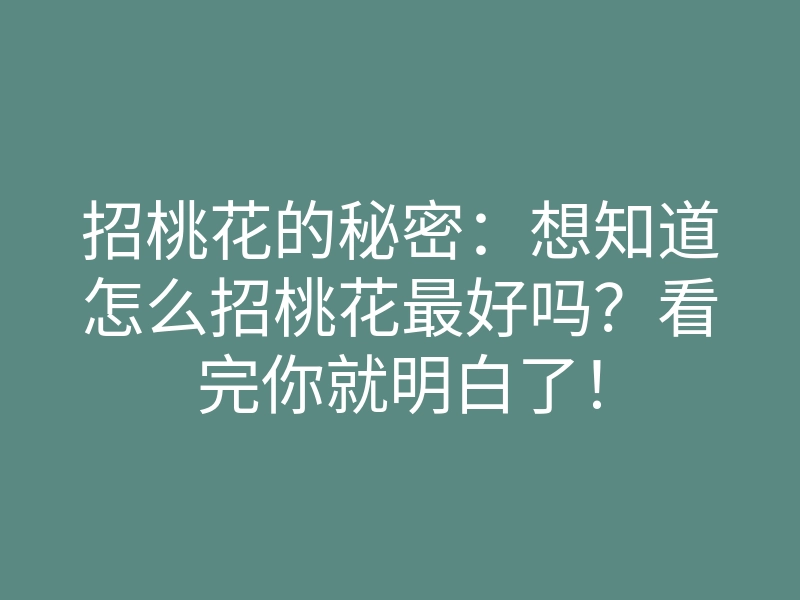 招桃花的秘密:想知道怎么招桃花最好吗?看完你就明白了!