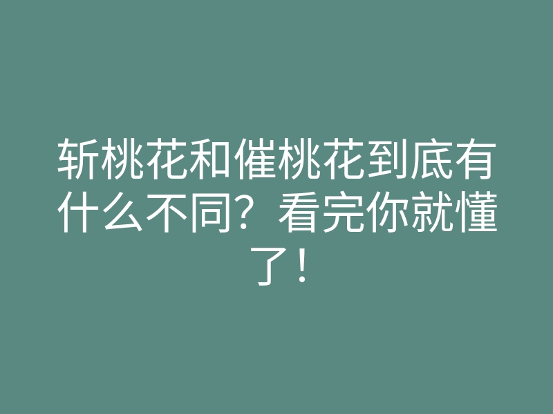 斩桃花和催桃花到底有什么不同?看完你就懂了!