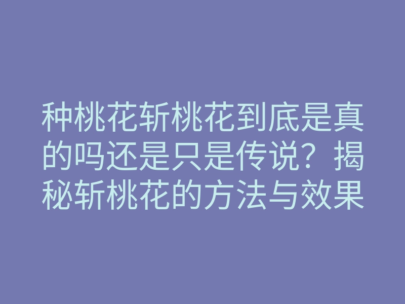 种桃花斩桃花到底是真的吗还是只是传说?揭秘斩桃花的方法与效果