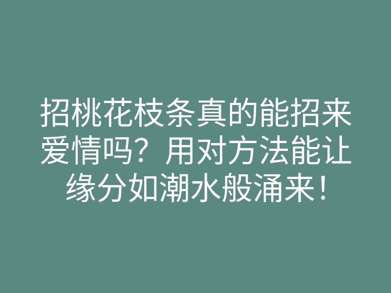 招桃花枝条真的能招来爱情吗?用对方法能让缘分如潮水般涌来!