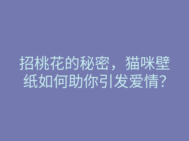 招桃花的秘密,猫咪壁纸如何助你引发爱情?