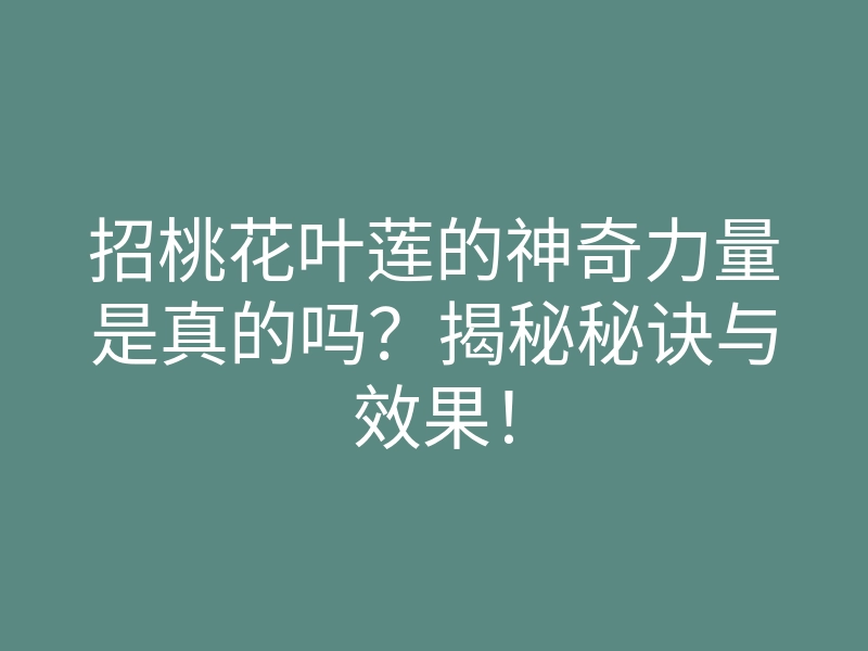 招桃花叶莲的神奇力量是真的吗?揭秘秘诀与效果!