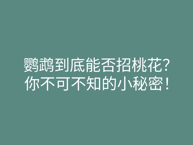 鹦鹉到底能否招桃花？你不可不知的小秘密！