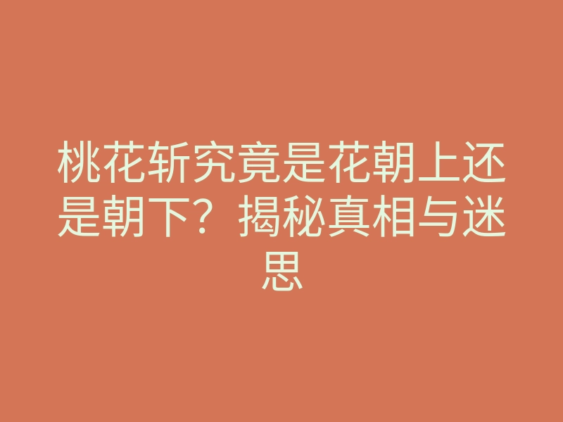 桃花斩究竟是花朝上还是朝下？揭秘真相与迷思