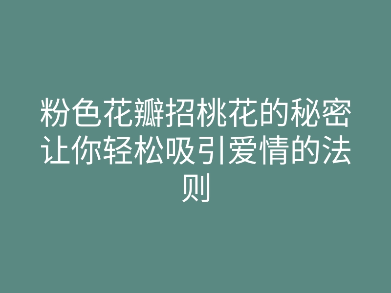 粉色花瓣招桃花的秘密让你轻松吸引爱情的法则