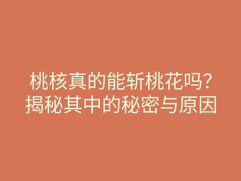 桃核真的能斩桃花吗?揭秘其中的秘密与原因