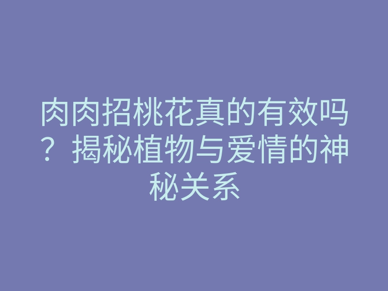 肉肉招桃花真的有效吗?揭秘植物与爱情的神秘关系