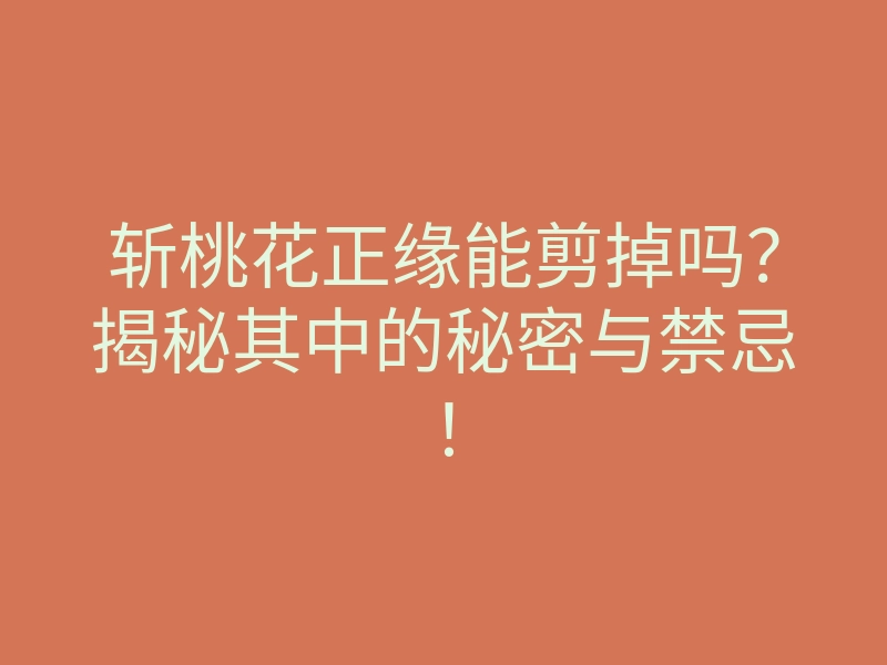 斩桃花正缘能剪掉吗?揭秘其中的秘密与禁忌!