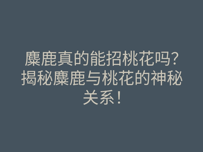 麋鹿真的能招桃花吗?揭秘麋鹿与桃花的神秘关系!