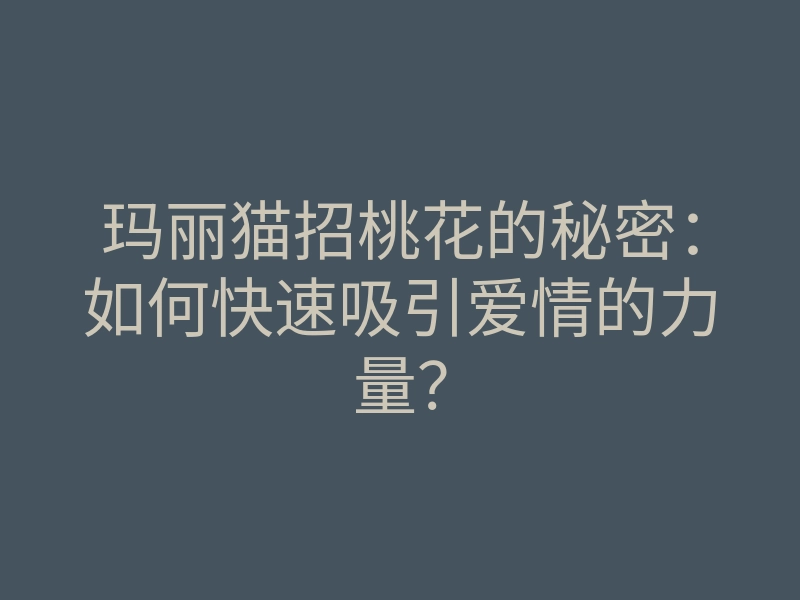 玛丽猫招桃花的秘密：如何快速吸引爱情的力量？