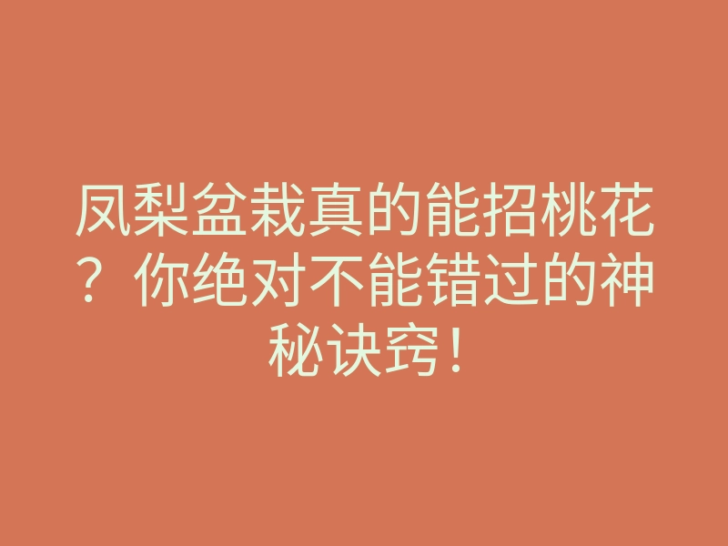 凤梨盆栽真的能招桃花?你绝对不能错过的神秘诀窍!