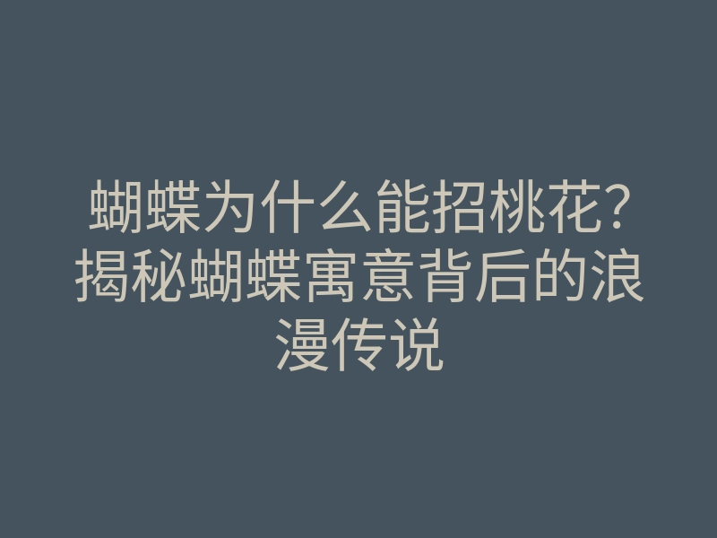 蝴蝶为什么能招桃花?揭秘蝴蝶寓意背后的浪漫传说