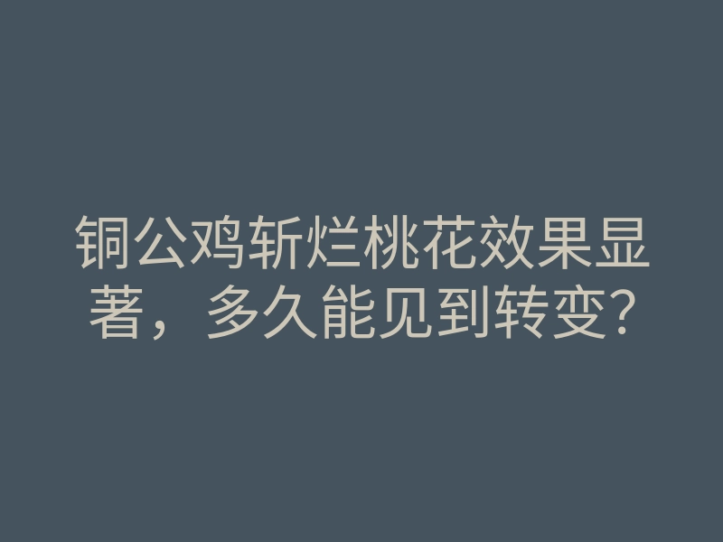 铜公鸡斩烂桃花效果显著，多久能见到转变？