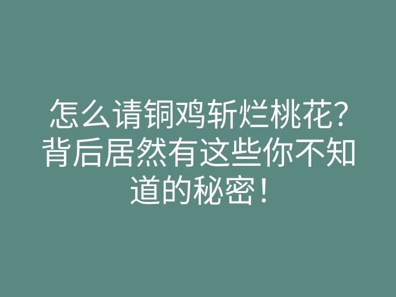 怎么请铜鸡斩烂桃花?背后居然有这些你不知道的秘密!