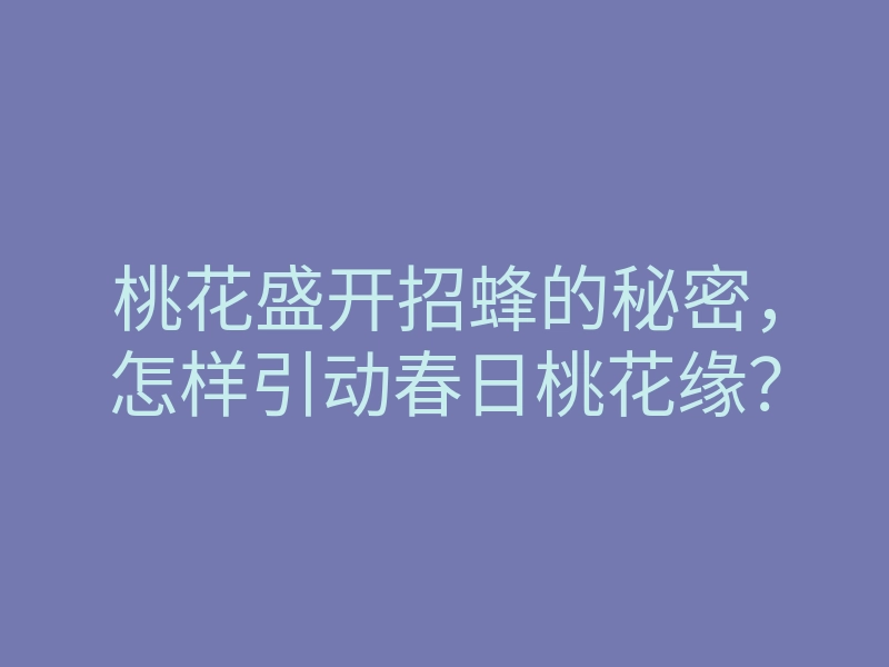 桃花盛开招蜂的秘密,怎样引动春日桃花缘?