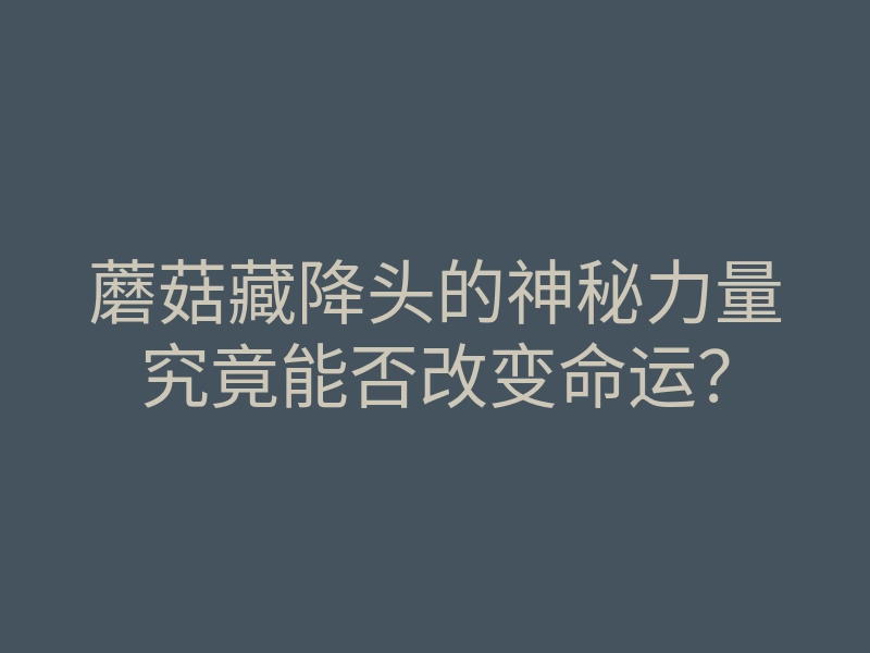 蘑菇藏降头的神秘力量究竟能否改变命运?
