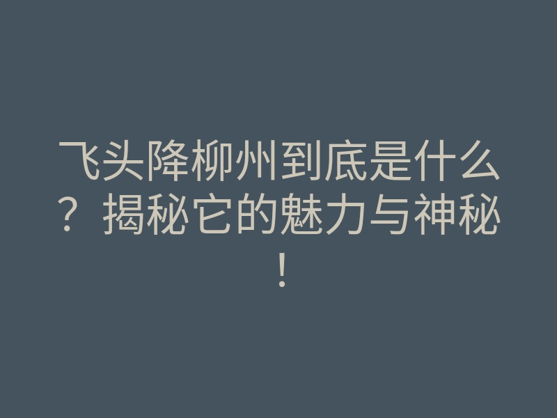 飞头降柳州到底是什么?揭秘它的魅力与神秘!