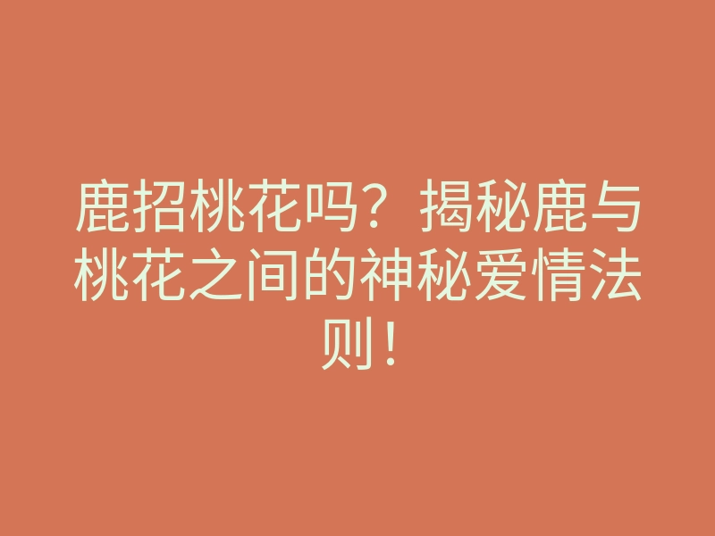 鹿招桃花吗?揭秘鹿与桃花之间的神秘爱情法则!