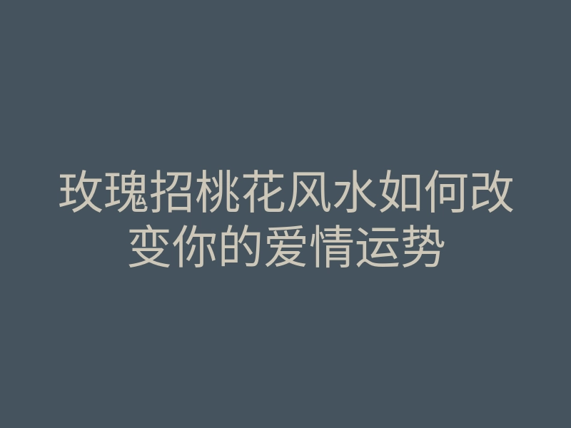 玫瑰招桃花风水如何改变你的爱情运势