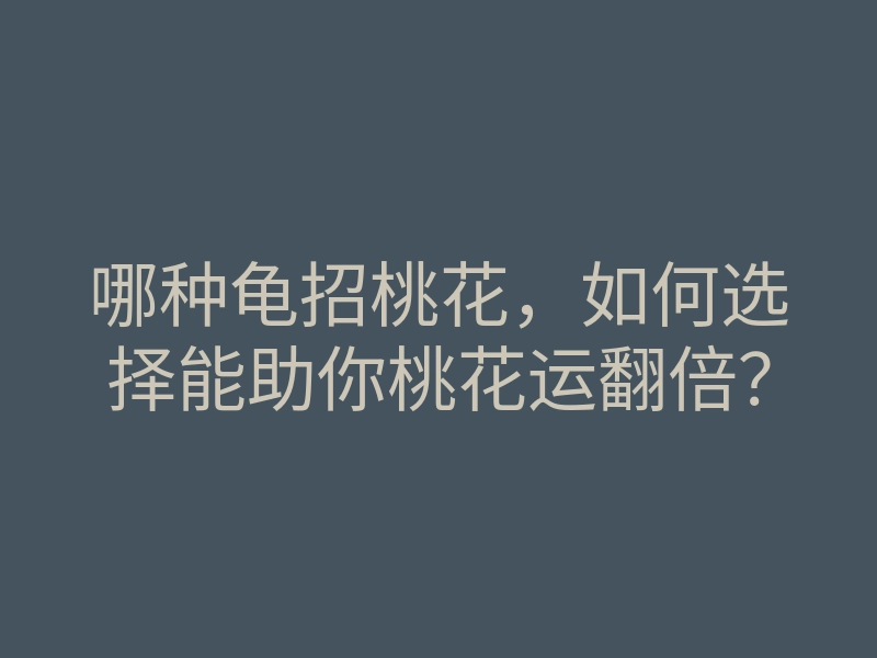 哪种龟招桃花,如何选择能助你桃花运翻倍?