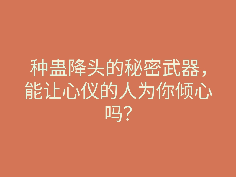 种蛊降头的秘密武器,能让心仪的人为你倾心吗?