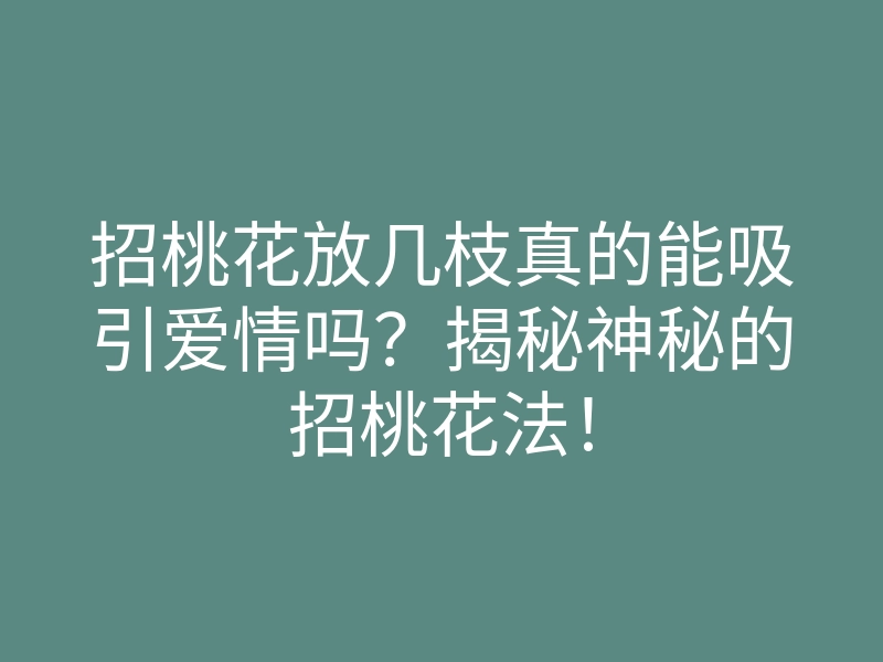 招桃花放几枝真的能吸引爱情吗?揭秘神秘的招桃花法!