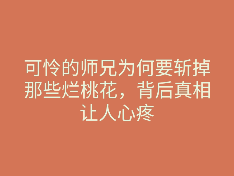可怜的师兄为何要斩掉那些烂桃花,背后真相让人心疼