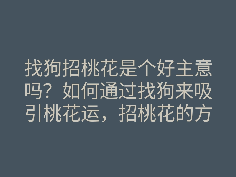 找狗招桃花是个好主意吗?如何通过找狗来吸引桃花运,招桃花的方法解析