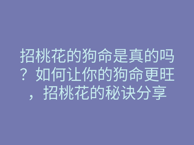 招桃花的狗命是真的吗?如何让你的狗命更旺,招桃花的秘诀分享