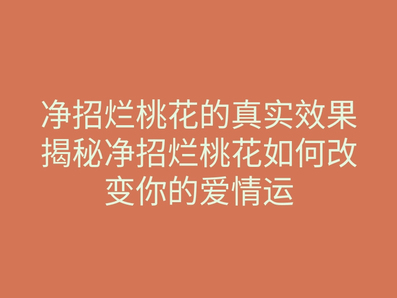 净招烂桃花的真实效果揭秘净招烂桃花如何改变你的爱情运