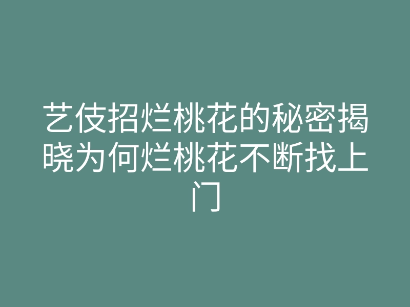 艺伎招烂桃花的秘密揭晓为何烂桃花不断找上门