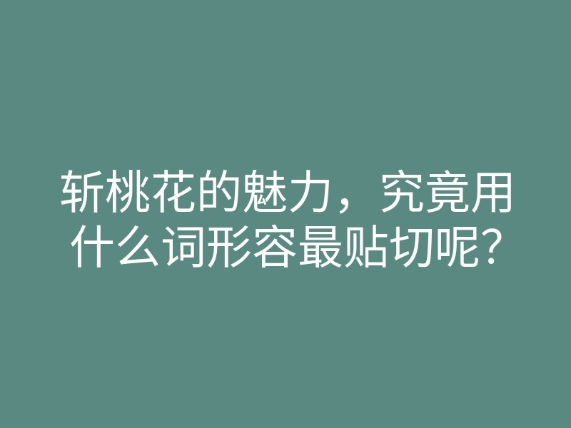 斩桃花的魅力,究竟用什么词形容最贴切呢?