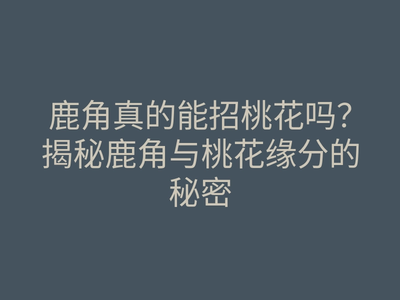 鹿角真的能招桃花吗?揭秘鹿角与桃花缘分的秘密