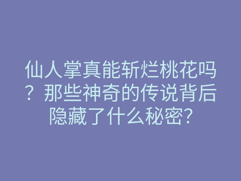 仙人掌真能斩烂桃花吗?那些神奇的传说背后隐藏了什么秘密?
