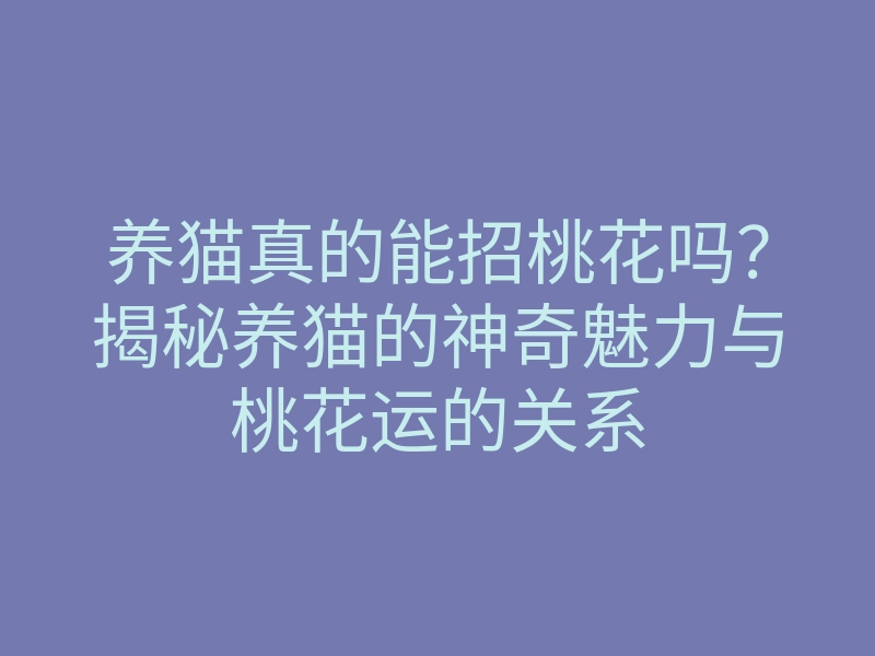 养猫真的能招桃花吗?揭秘养猫的神奇魅力与桃花运的关系