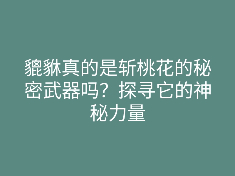 貔貅真的是斩桃花的秘密武器吗?探寻它的神秘力量