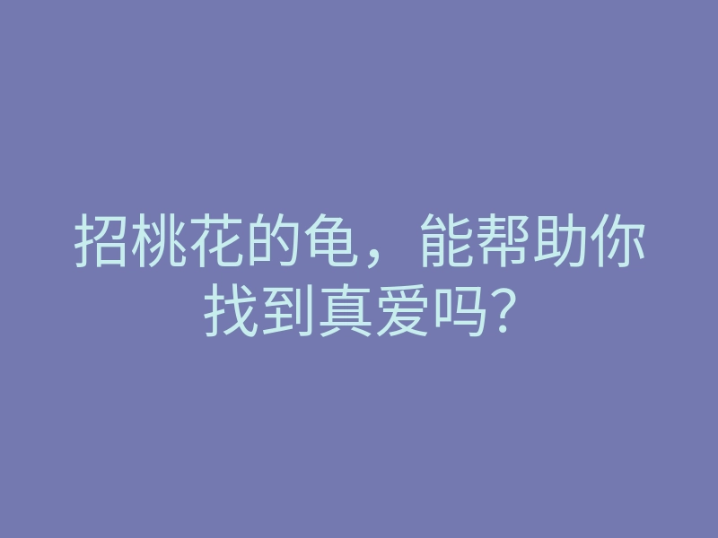 招桃花的龟,能帮助你找到真爱吗?