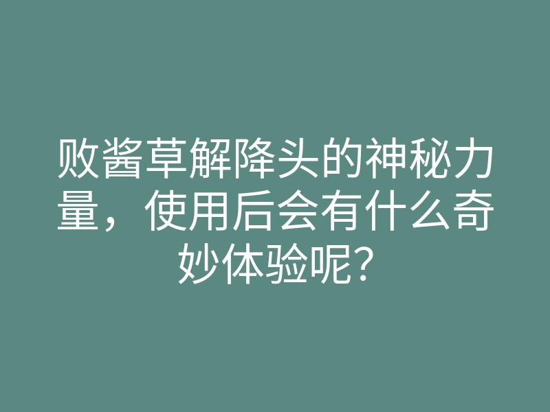 败酱草解降头的神秘力量,使用后会有什么奇妙体验呢?